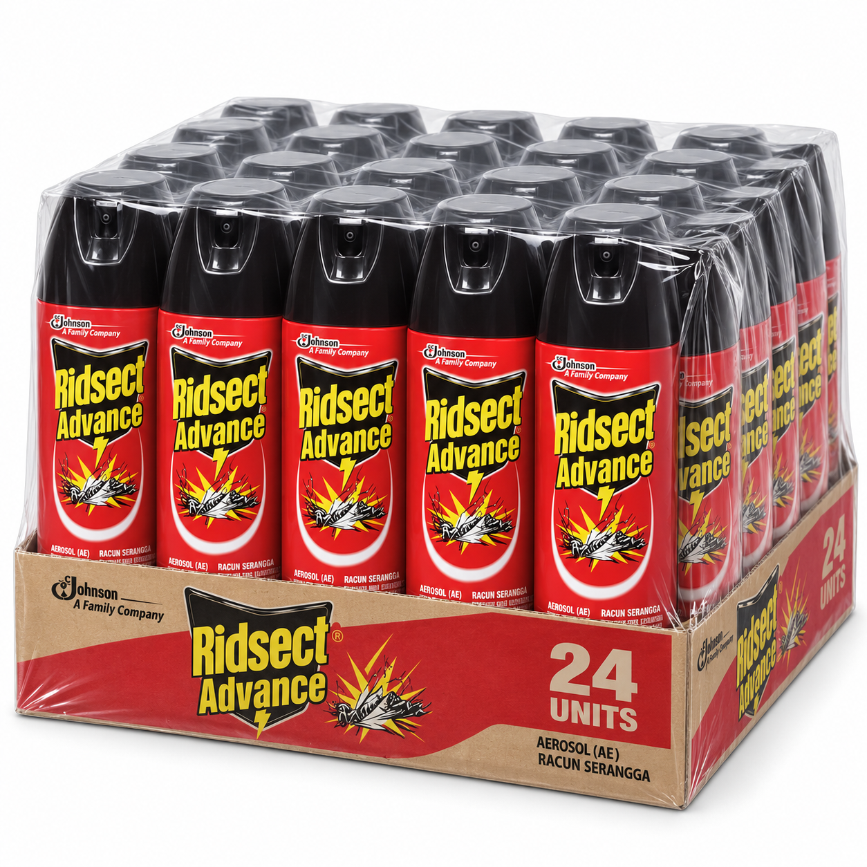 RIDSECT Aerosol Insecticide Spray 270ML